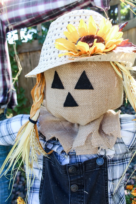 Display a Customized Scarecrow