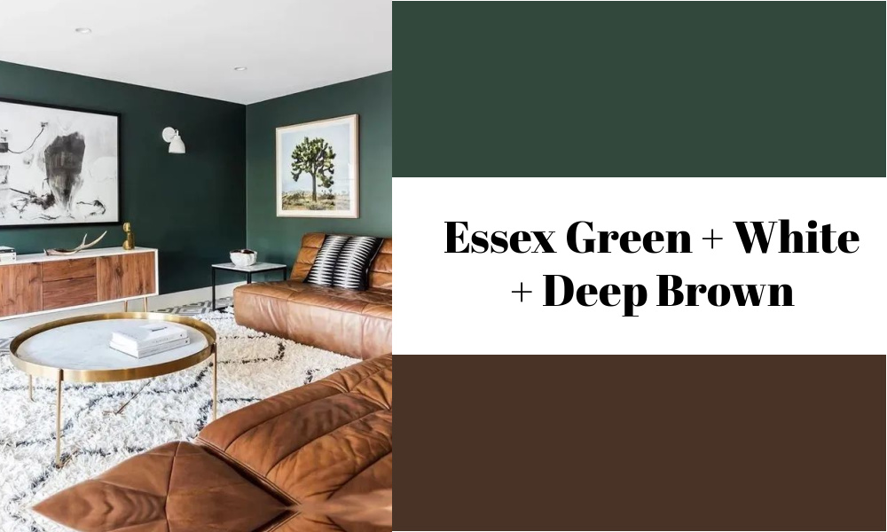 Essex Green + White + Deep Brown